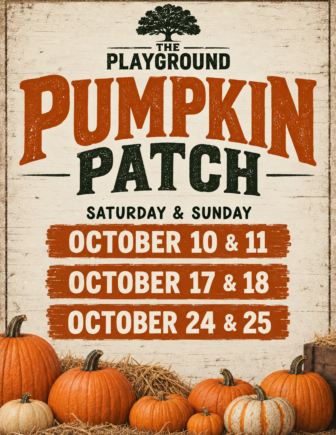 Pumpkin Patch